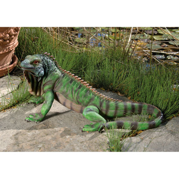Iggy The Iguana Statue Lizard